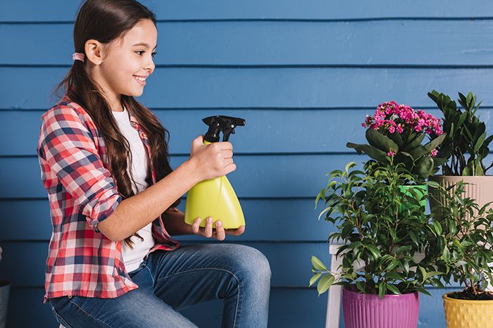 10 Non-Toxic Ways to Keep Your Home Pest-Free: A Guide to Eco-Friendly Indoor Pest Control